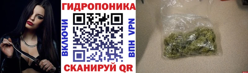 Где продают наркотики Сертолово Амфетамин  Мефедрон  Канабис 