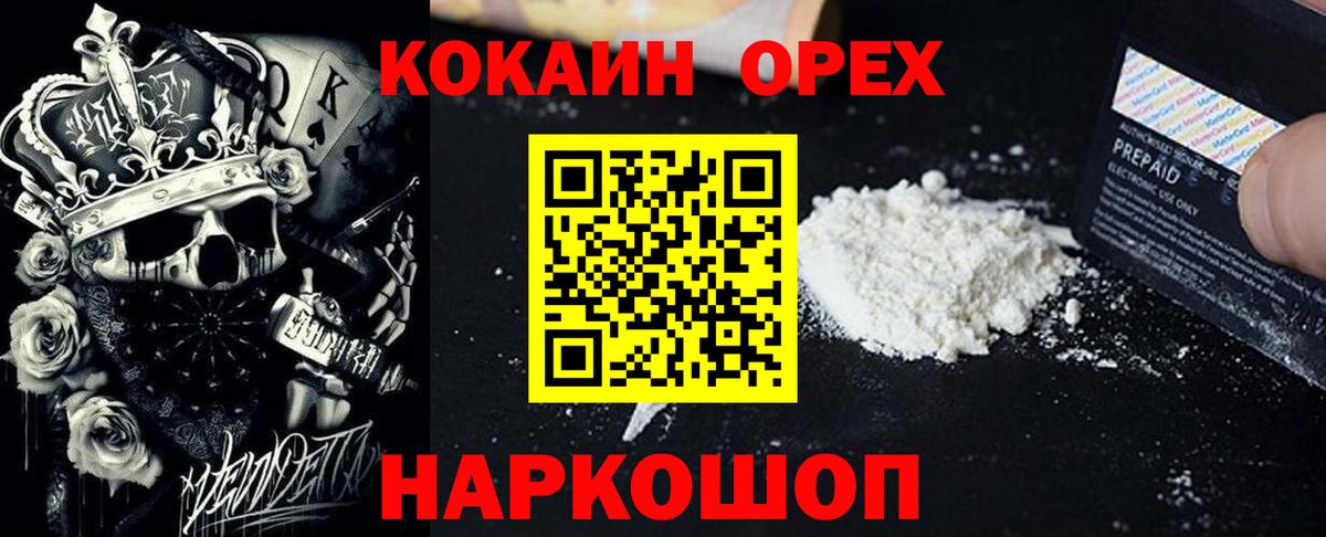 Сертолово  COCAIN Fish Scale  Вход с VPN 