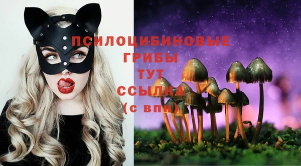 таблы Переславль-Залесский