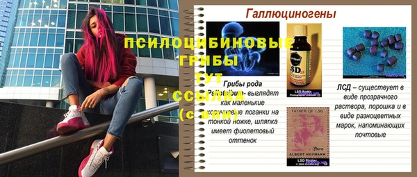 первитин Пересвет