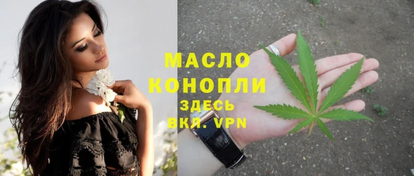 молекула духа Осташков
