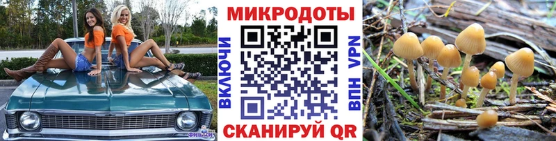 kraken онион  закладки  Сертолово  Псилоцибиновые грибы Cubensis 