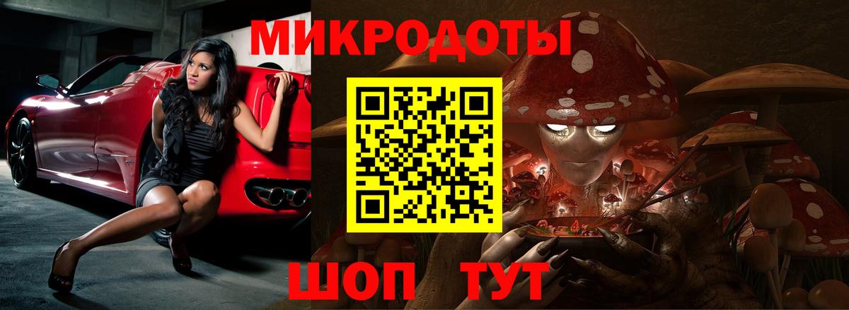 Галлюциногенные грибы Psilocybine cubensis  Вход с VPN  Сертолово 